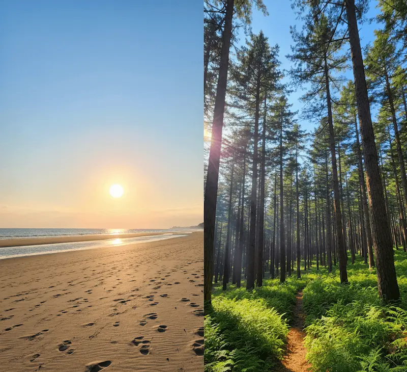 A scenic view of the Dongseo Trail in South Korea, showcasing the lush mountain ridges and eco-friendly trekking paths across the Korean Peninsula.